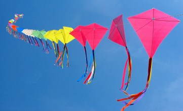 kites_flying_images_1024x768__66461
