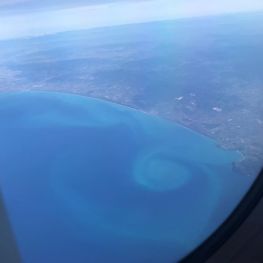 69862409_433025257563258_6881614658336468103_n