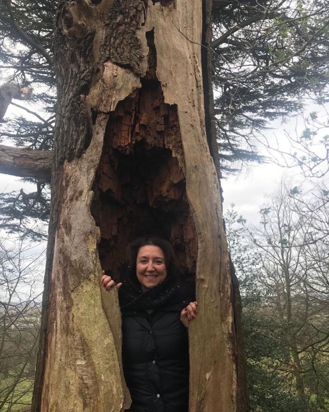 84330340_529588640997319_3131752512746316468_n