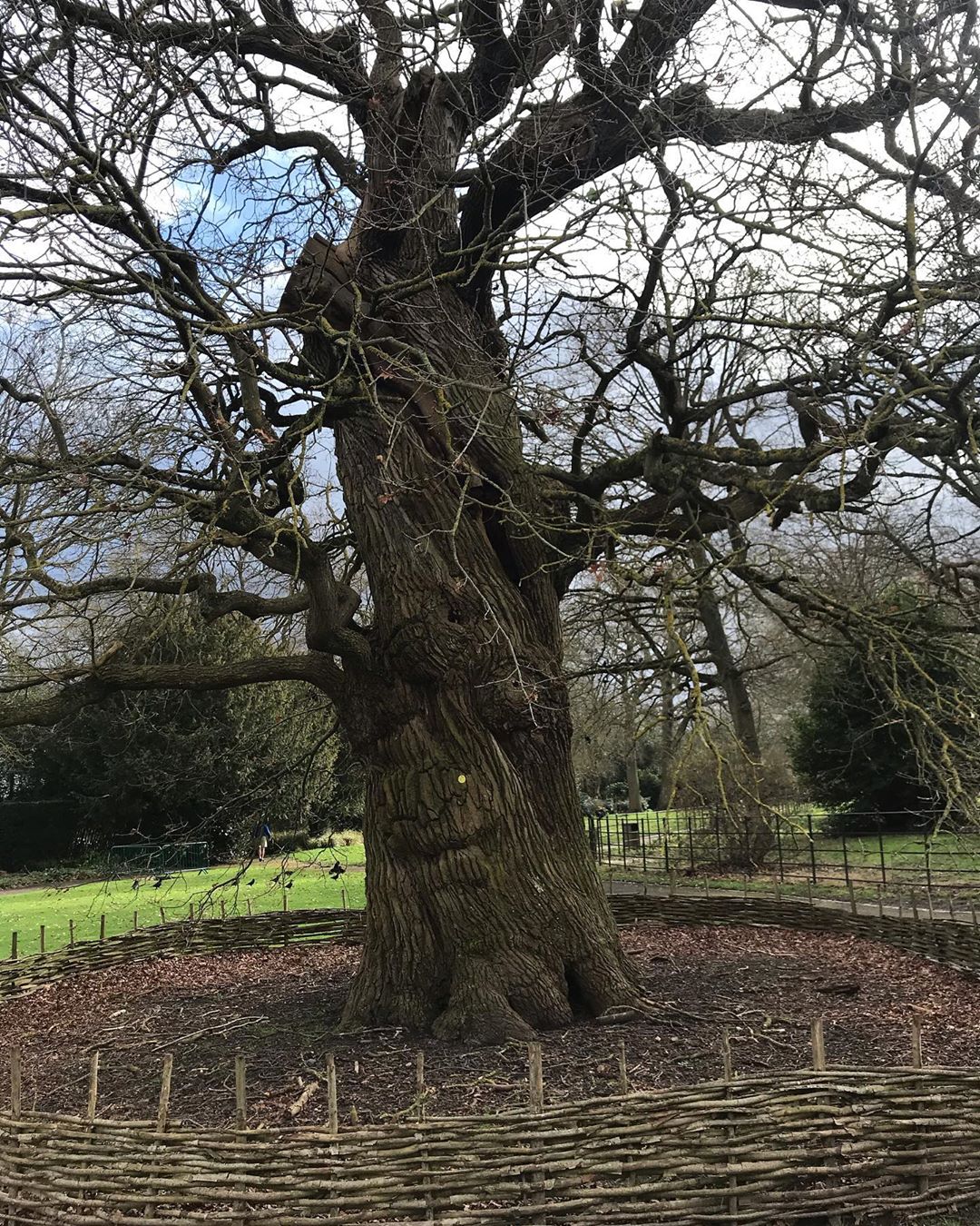 84464382_2834248783324803_8444298761493387220_n