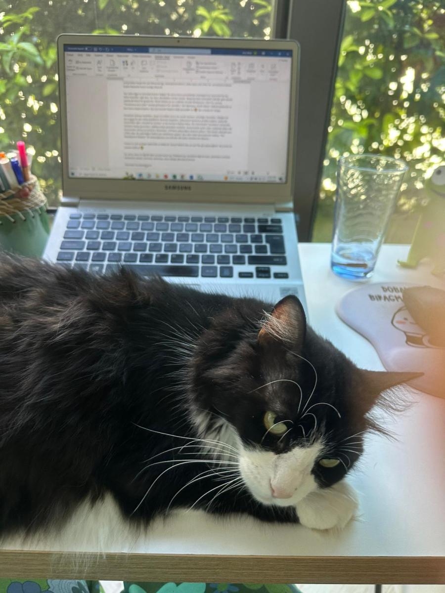 Yol, yolcu, yolculuk